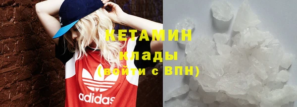 стаф Арсеньев