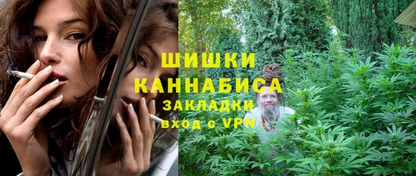 стаф Арсеньев