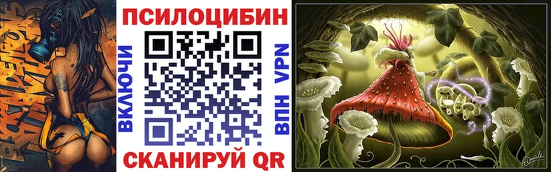 гидра как зайти  Кашин  Галлюциногенные грибы мухоморы 