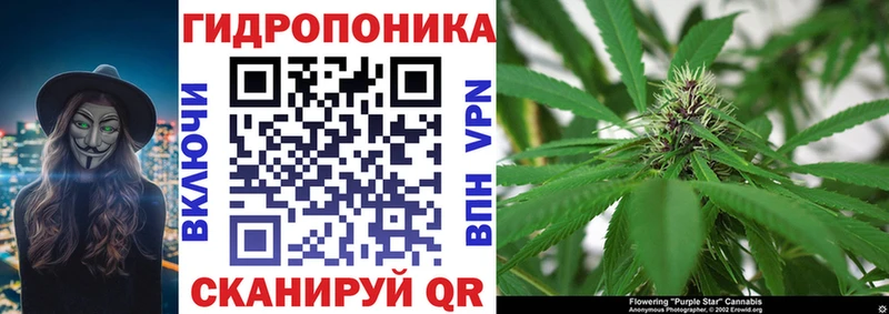 сколько стоит  Кашин  Канабис White Widow 